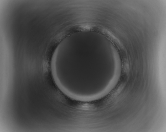 X0000102290467200808081526