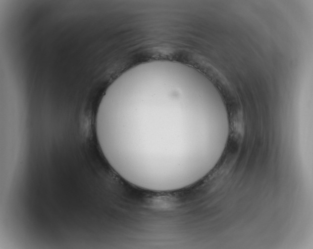 X0000102290468200808081526