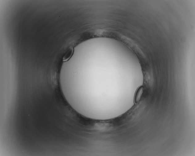 X0000102290470200808081527