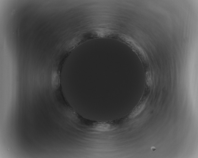 X0000102290471200808081527