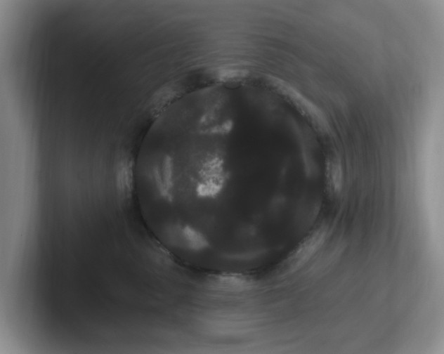 X0000102290475200808081527