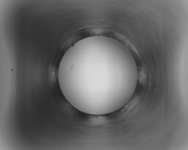 X0000102290476200808081527