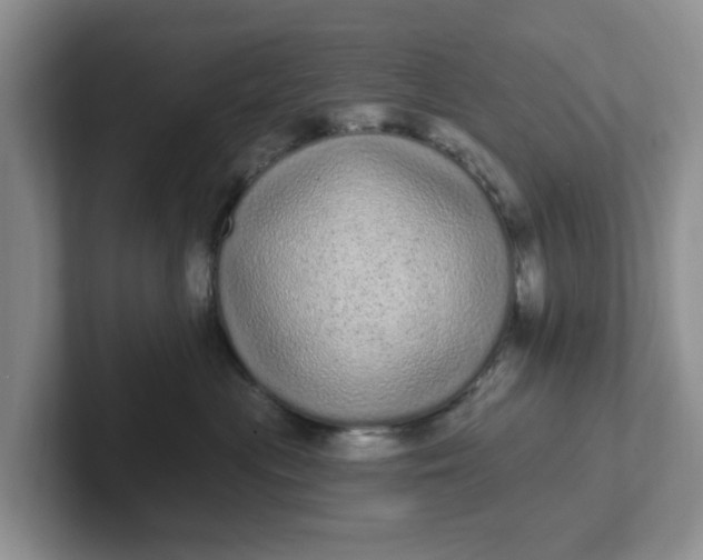 X0000102290477200808081527