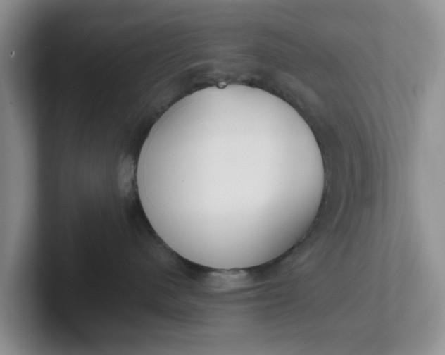 X0000102290480200808081527