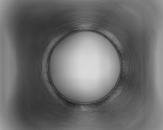 X0000102290481200808081526