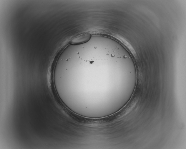 X0000102290485200808081526