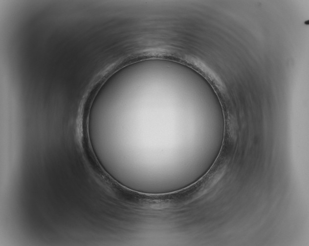 X0000102290486200808081526