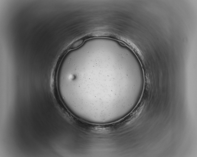 X0000102290487200808081526