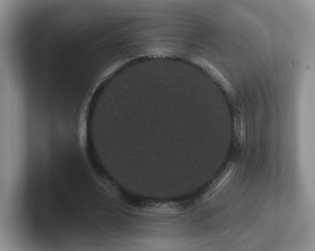 X0000102290488200808081526