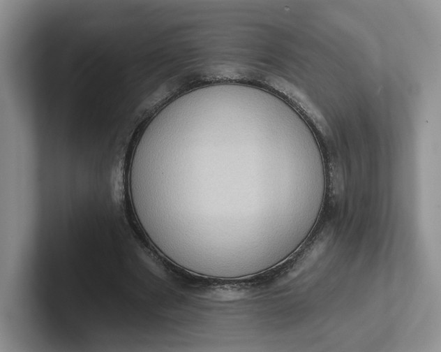 X0000102290489200808081526