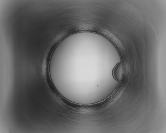 X0000102290490200808081526