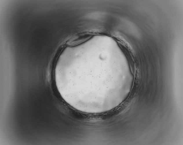 X0000102290491200808081526