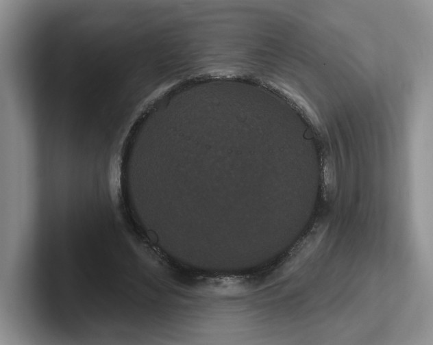 X0000102290492200808081526