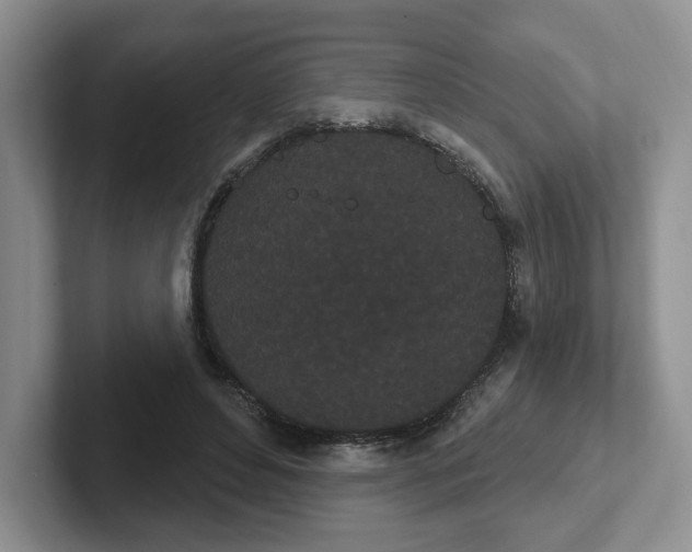 X0000102290496200808081526