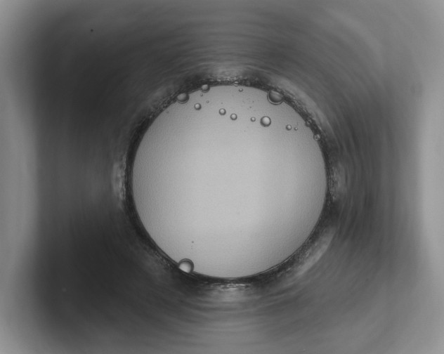 X0000102290497200808081526