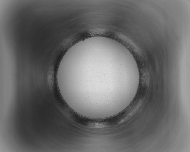 X0000102290498200808081526