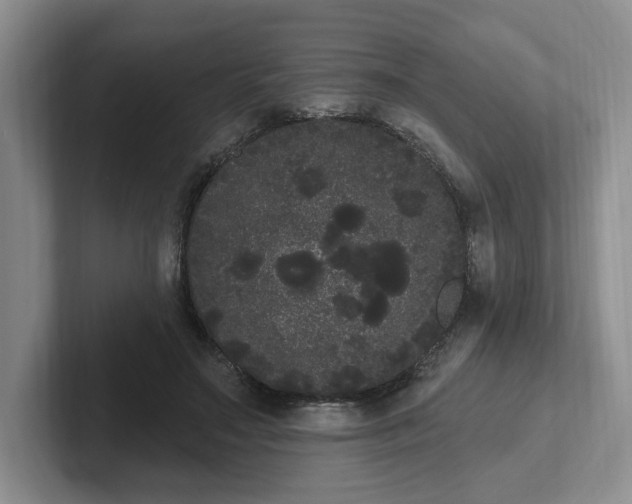 X0000102290499200808081526