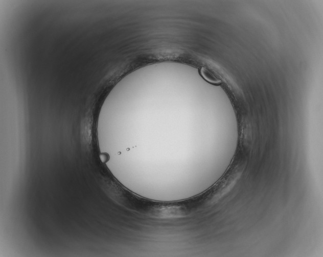 X0000102290501200808081526