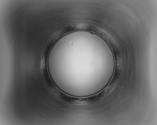 X0000102290502200808081526