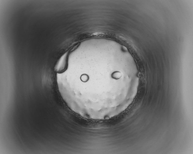 X0000102290503200808081526