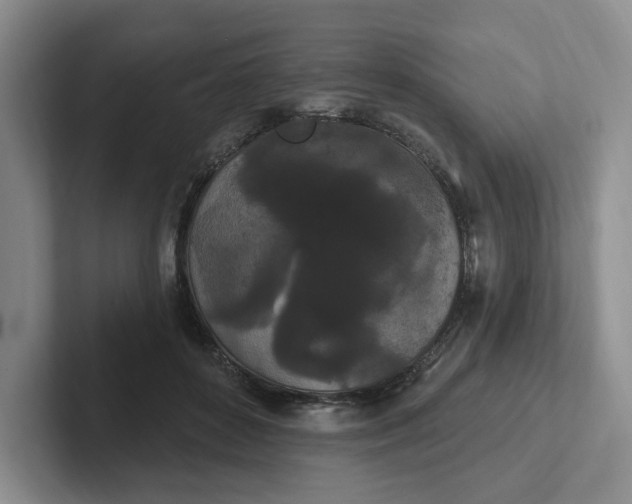 X0000102290504200808081526