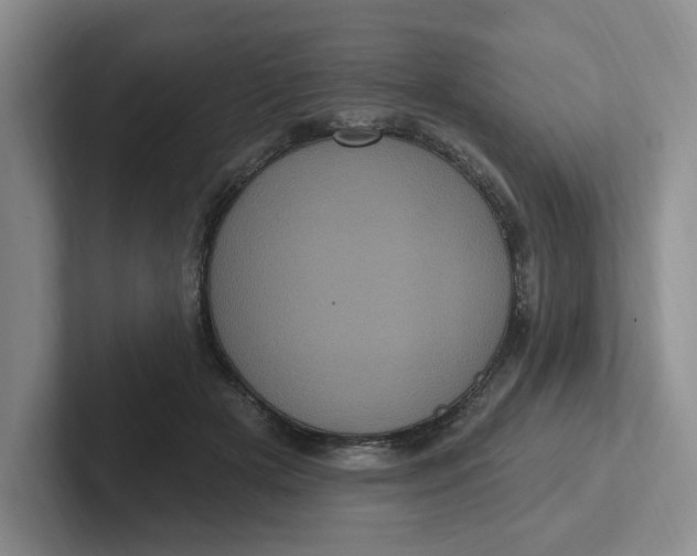 X0000102290505200808081526