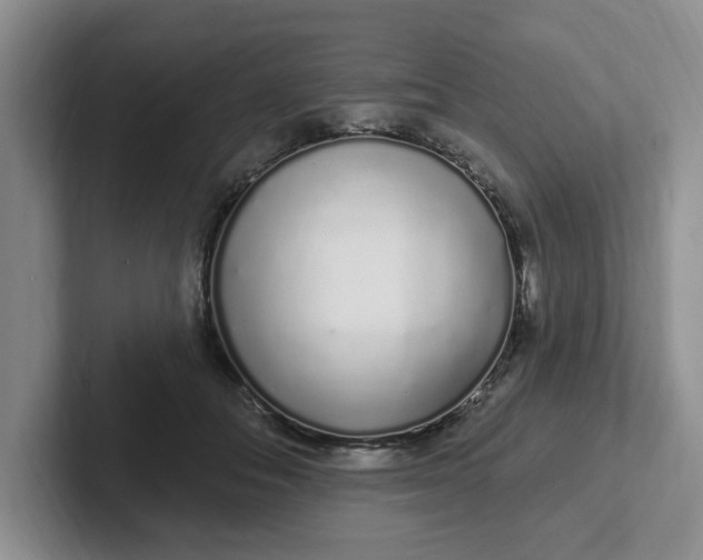 X0000102290506200808081526