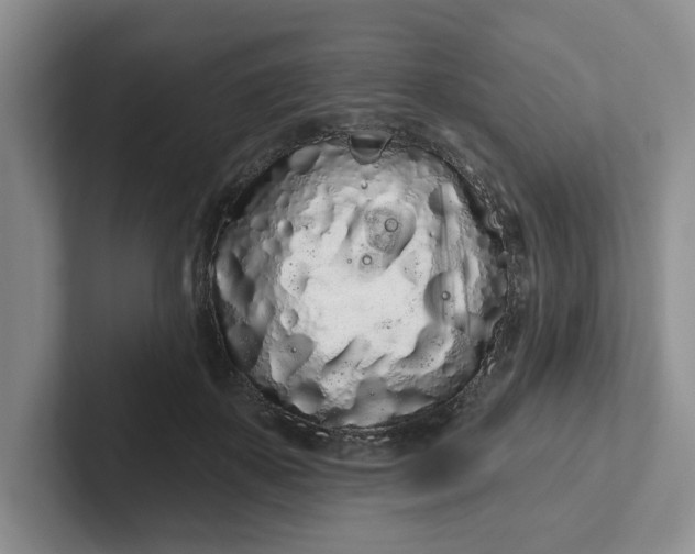 X0000102290507200808081525