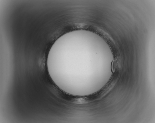 X0000102290509200808081525