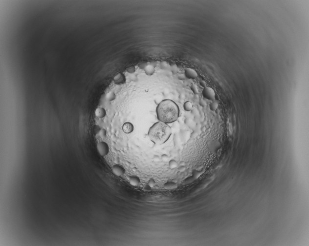 X0000102290511200808081525