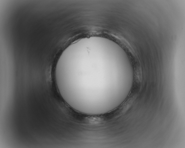 X0000102290512200808081525