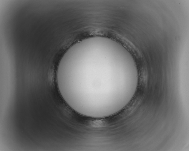 X0000102290513200808081525