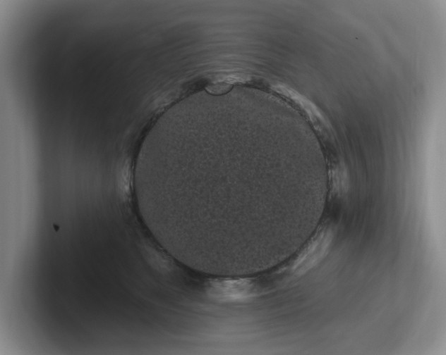 X0000102290517200808081525