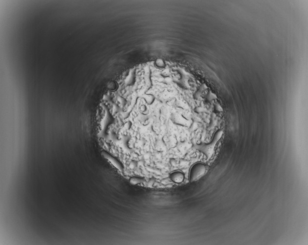 X0000102290519200808081525