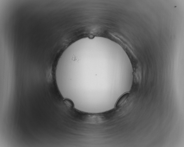 X0000102290520200808081525