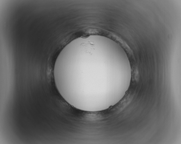 X0000102290521200808081525