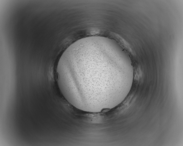 X0000102290524200808081525