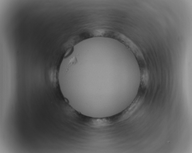 X0000102290525200808081525