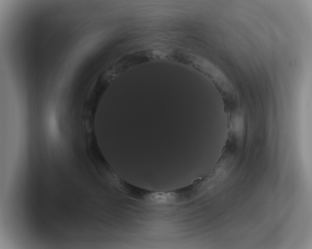 X0000102290526200808081525