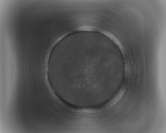 X0000102290529200808081525