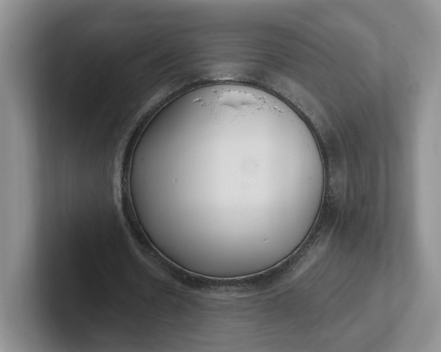 X0000102290530200808081525