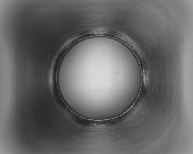 X0000102290531200808081525