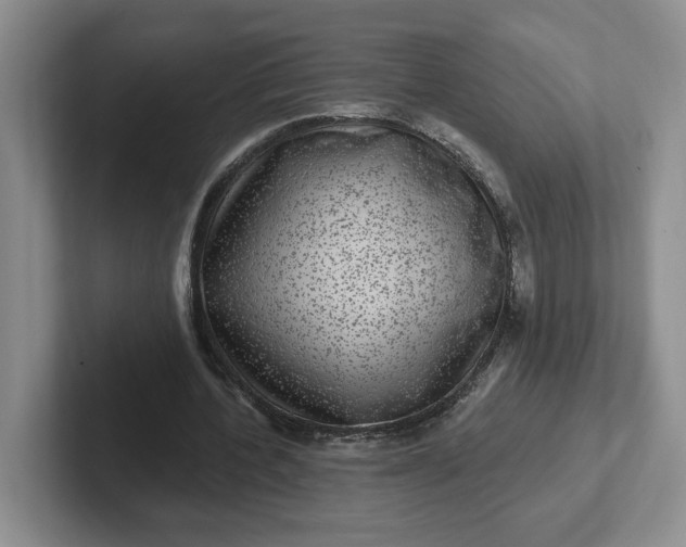 X0000102290532200808081525