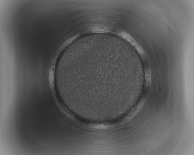 X0000102290533200808081525