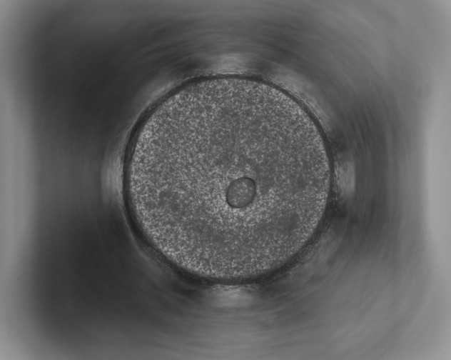 X0000102290534200808081525