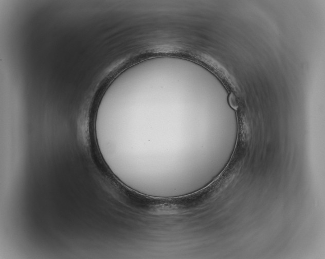 X0000102290535200808081525