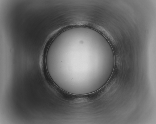 X0000102290536200808081525