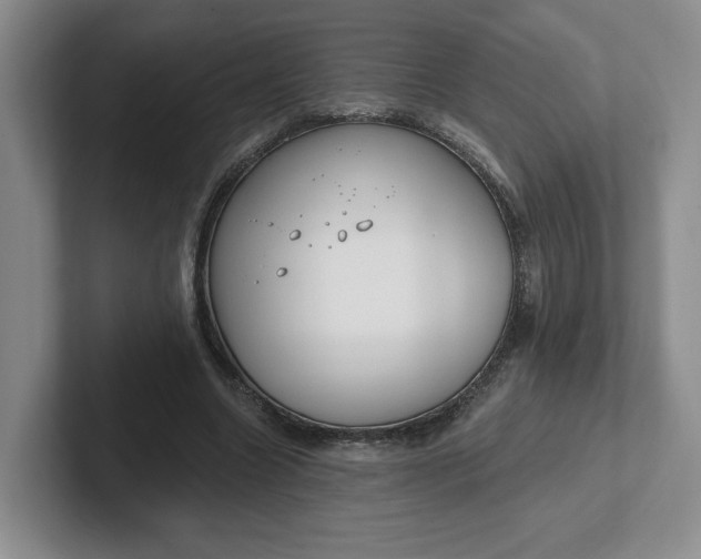 X0000102290538200808081525