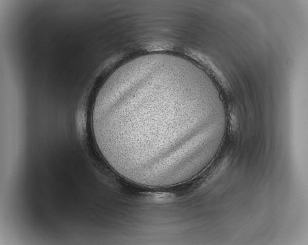 X0000102290539200808081525