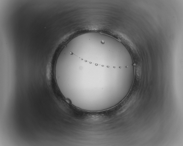 X0000102290540200808081525